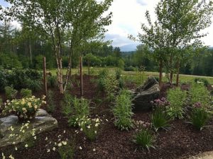 Join Green Mountain Gardeners for "Landscaping and Planting Design Simplified" with Betsy Gritman. 