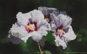 Rose of Sharon by Robert O'Brien at the Vermont and Beyond Art show.