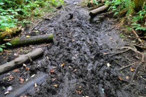 Stay on trails and be careful during Mud Season.