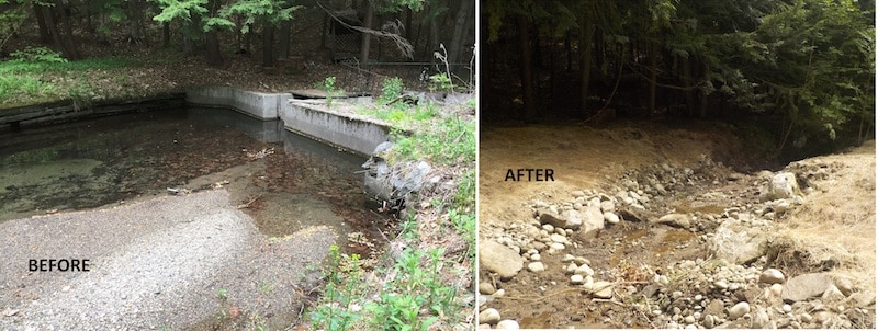 Completed dam removal project in Perkinsville, Vt.
