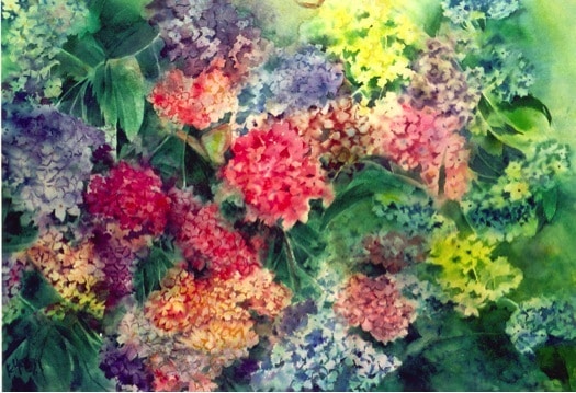 "Hydrangea Medley,"  watercolor, 22-by-30 inches