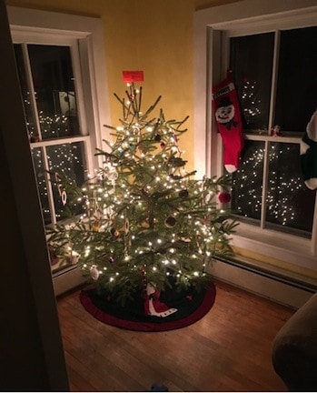 A fully decorated Christmas tree harvested from the Green Mountain National Forest in Vermont