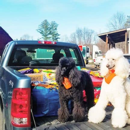 Hartley and Oliver watch over the Pet Food delivery to the Chester-Andover Family Center