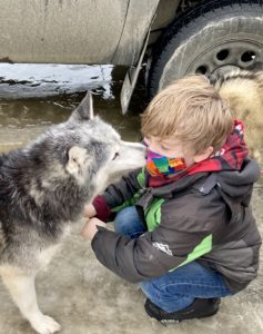 Children enjoying their time with a Siberian Husky