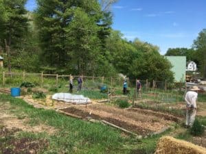 The Bellows Falls Community Garden last summer, one of the partners in Sustainable Rockingham that came from the Council on Rural Development visit. Photo provided