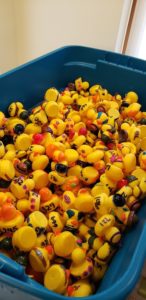 Hundreds of numbered ducks in a bin ready for a swim!