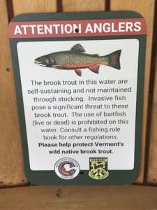 Eight Vermont ponds where wild native brook trout exist will soon have signs reminding anglers about baitfish prohibitions on those waters. Photo provided