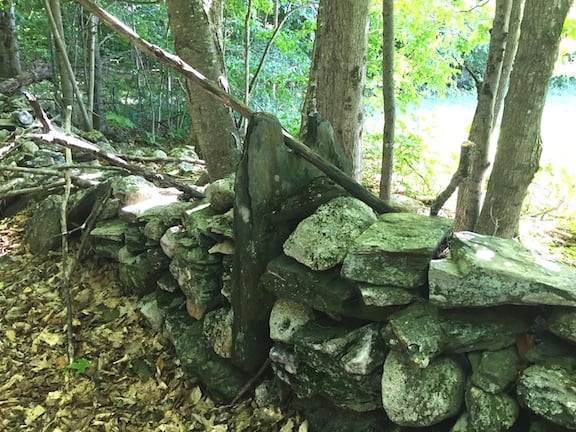 Stone wall on Skyline Drive. Photo by Shawn Patch