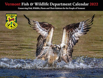 The cover photo of the 2022 calendar features an osprey emerging from the water after diving for fish, courtesy of Ian Clark.