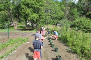 Local students engage in gardening for their own locally grown food. Photo provided