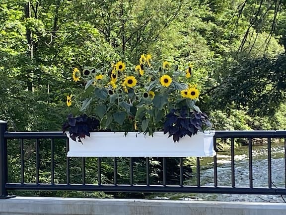 New flower boxes on the Depot Street Bridge in Cavendish. The Cavendish Community Fund awarded the grant to the Cavendish Streetscapes Committee for the flower boxes