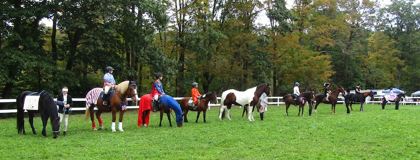 The costume class at the Colts and Fillies 4-H Club horse show. Photo by Sandy Rathke