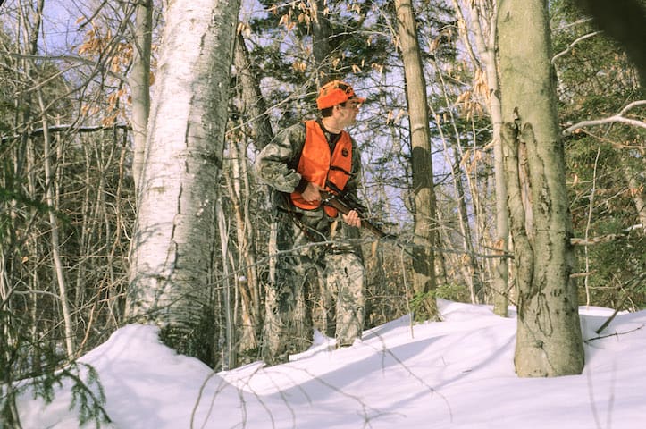 Licensed deer hunters are invited to participate in the annual deer hunter survey to report hunter effort, wildlife sightings, and other information to the Fish & Wildlife Department. Photo by John Hall, Vermont Fish & Wildlife