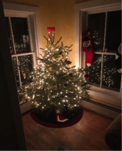 A fully decorated Christmas tree harvested off the Green Mountain National Forest in Vermont. Photo provided