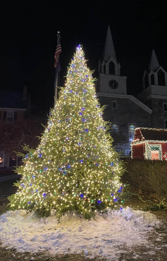 Springfield's holiday tree lit for the season. Photo provided