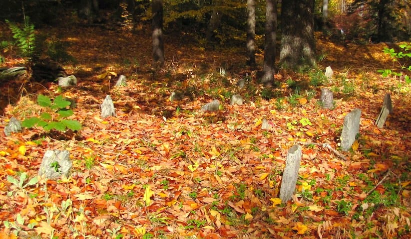 The Arnold Family burial ground. Photo by Ron Patch.