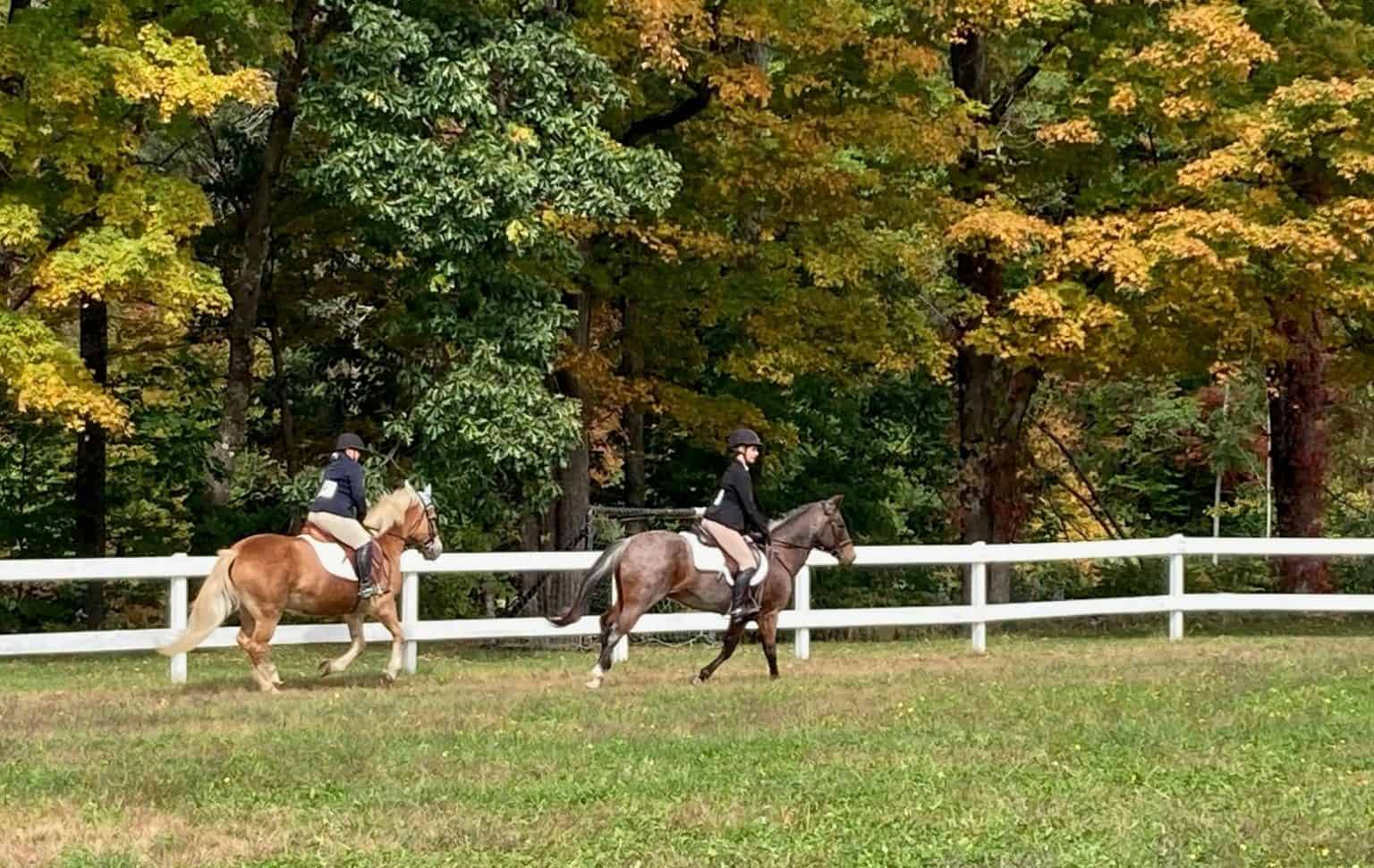 Colts and Fillies 4-H Horse Show - The Vermont Journal & The Shopper