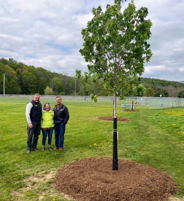 New trees at Ludlow Dog Park The Vermont Journal & The Shopper