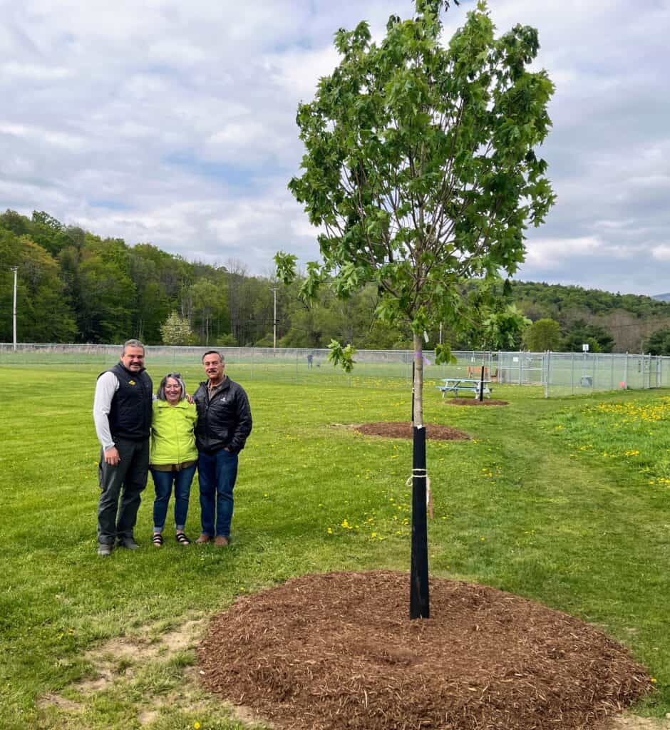 New trees at Ludlow Dog Park The Vermont Journal & The Shopper