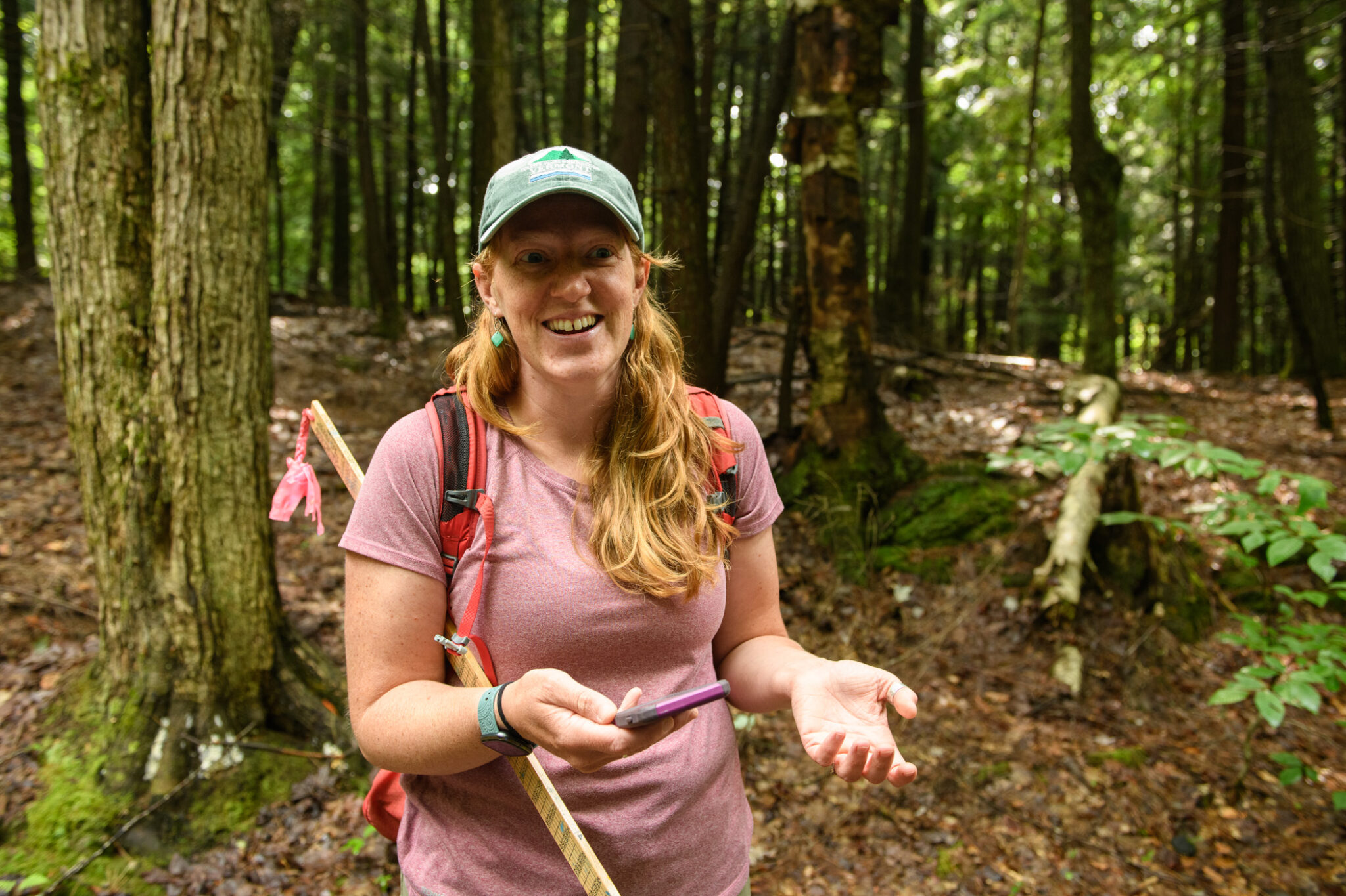 Forestry and forest ecology at Fletcher Memorial Library - The Vermont ...