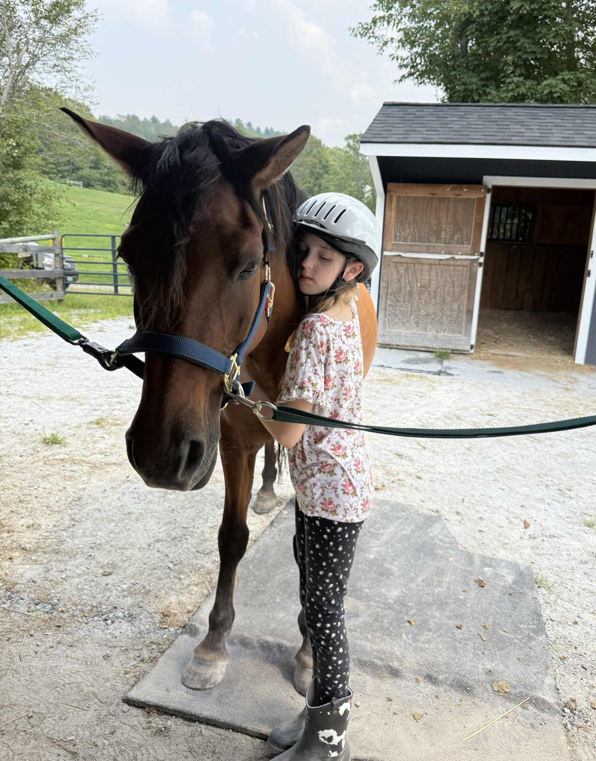 Reinbow Riding Center accepting applications for 2026 participants ...