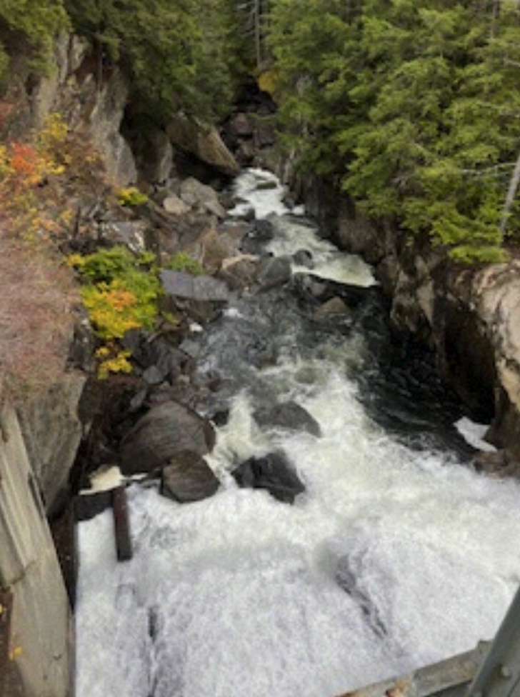 Explore the Cavendish Gorge - The Vermont Journal & The Shopper